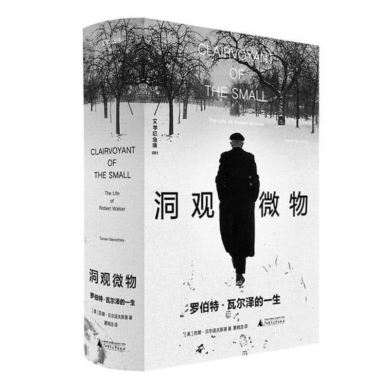 洞观微物—罗伯特·瓦尔泽的一生—the life of Robert Walser