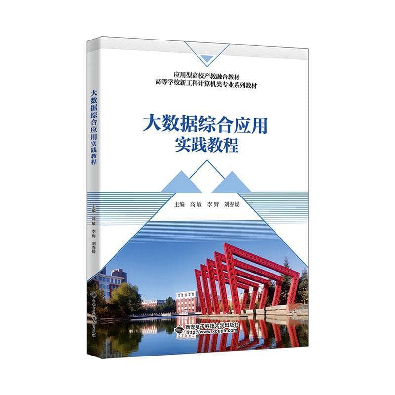 大数据综合应用实践教程