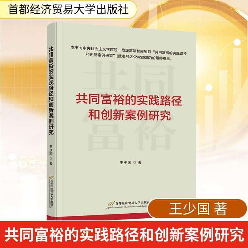 共同富裕的实践路径和创新案例研究
