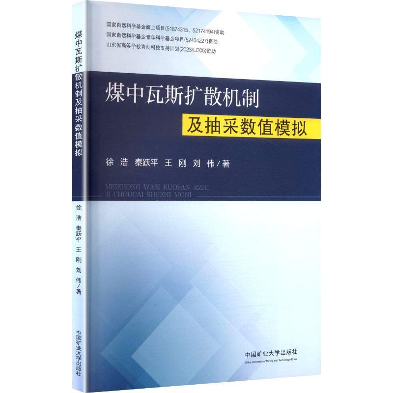 煤中瓦斯扩散机制及抽采数值模拟