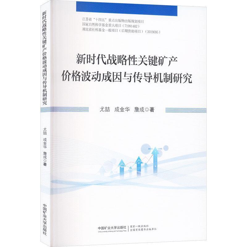新时代战略性关键矿产价格波动成因与传导机制研究