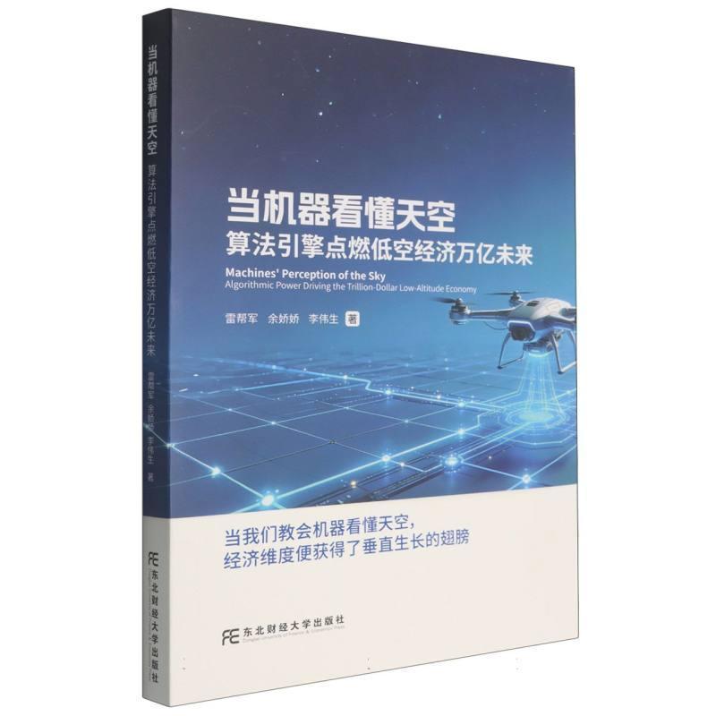 当机器看懂天空—算法引擎点燃低空经济万亿未来—algorithmic power driving the trillion-dollar low-altitude economy