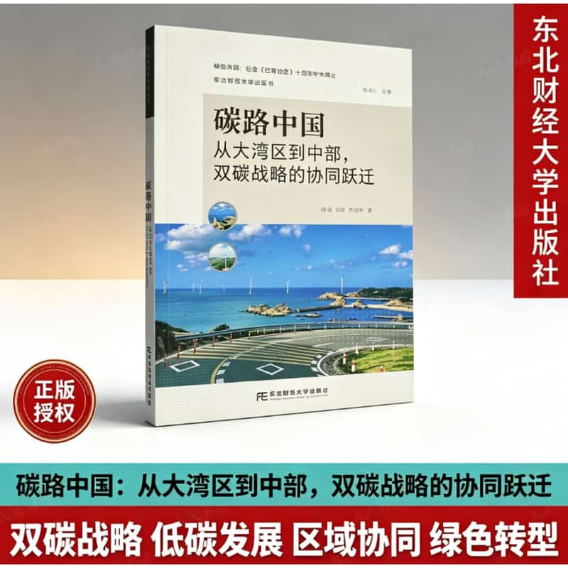 碳路中国—从大湾区到中部，双碳战略的协同跃迁