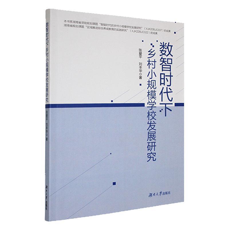 数智时代下乡村小规模学校发展研究