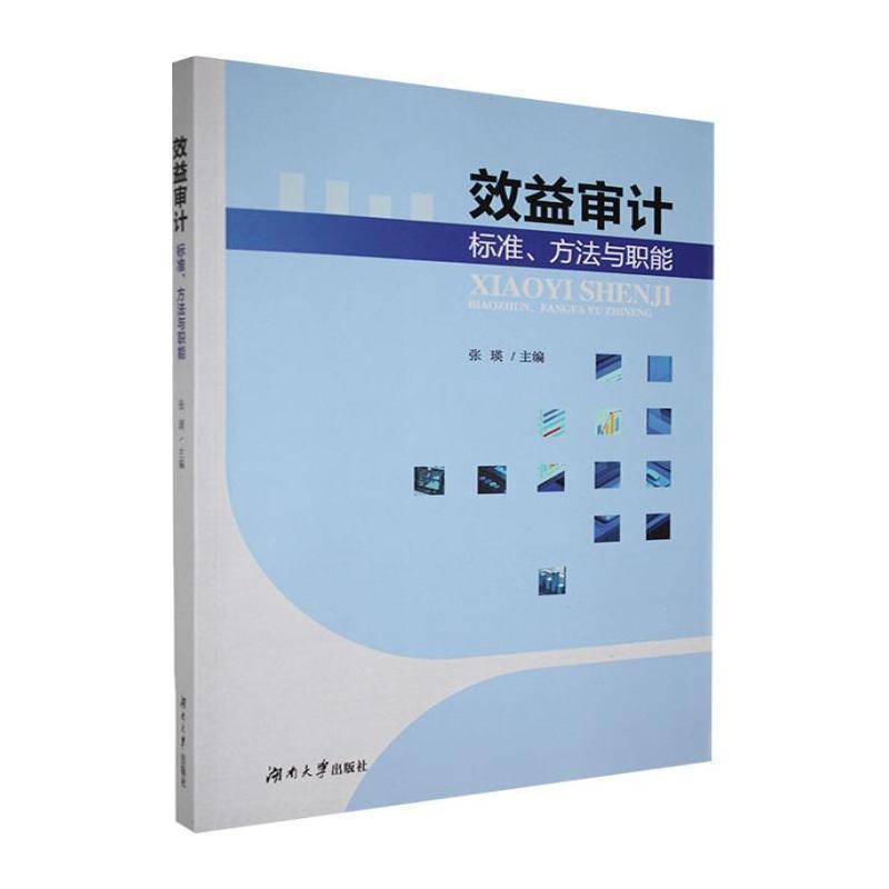 效益审计—标准、方法与职能: