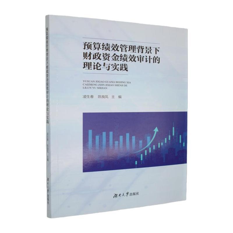 预算绩效管理背景下财政资金绩效审计的理论与实践