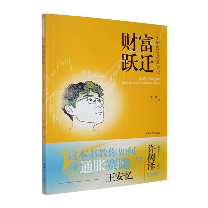 财富跃迁—十年投资总监手记