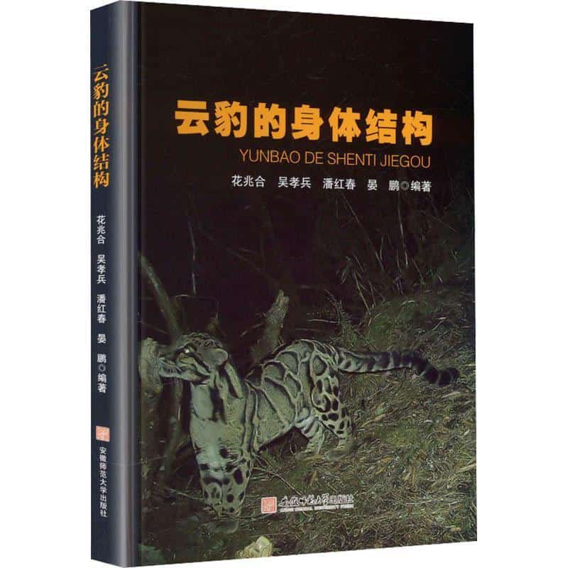 云豹的身体结构