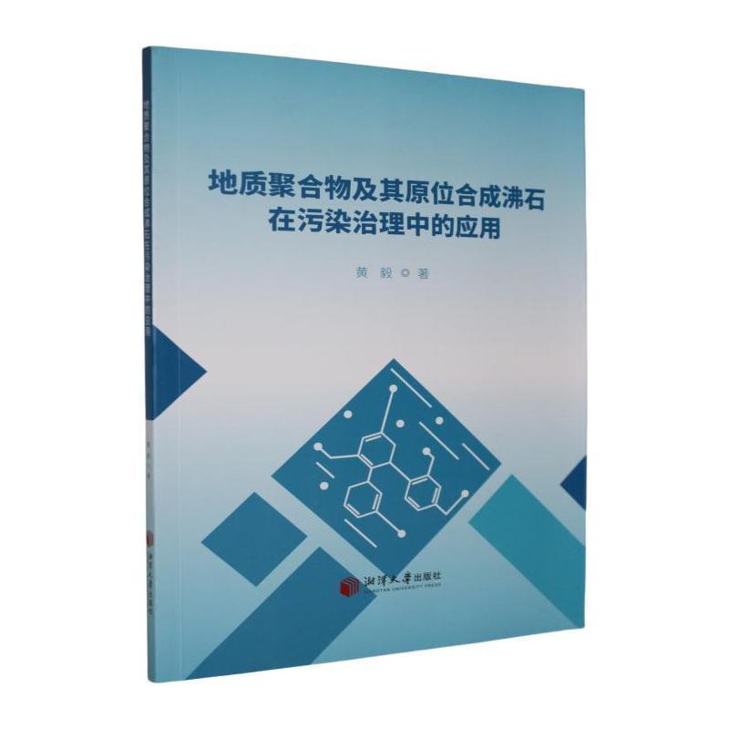 地质聚合物及其原位合成沸石在污染治理中的应用