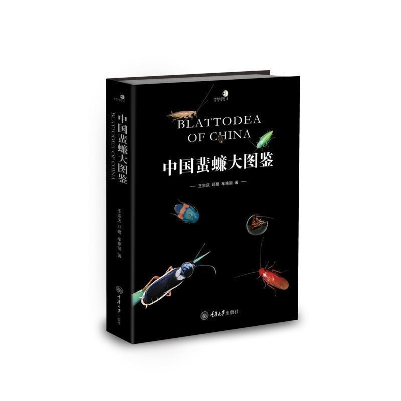 中国蜚蠊大图鉴