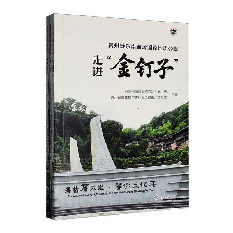 贵州黔东南苗岭国家地质公园:等你五亿年