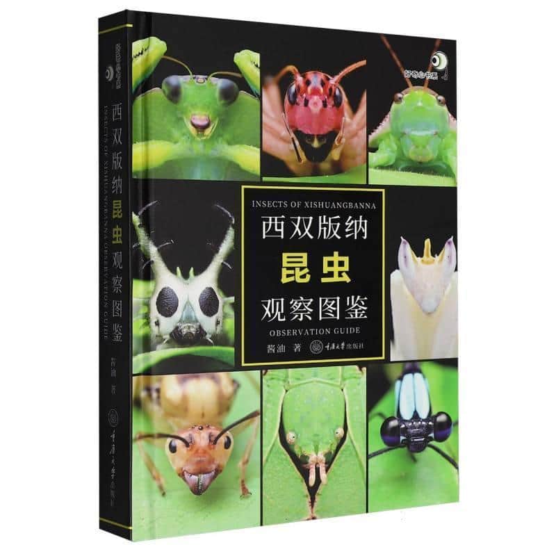西双版纳昆虫观察图鉴