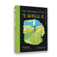 生命的意义：快速沉浸