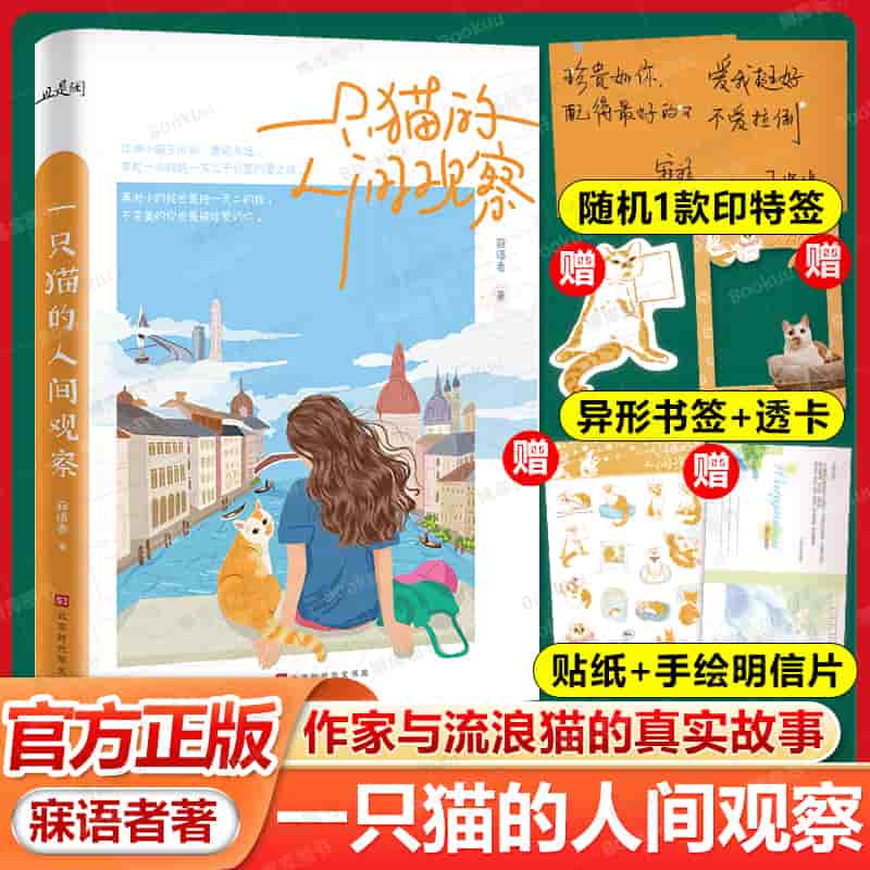 一只猫的人间观察