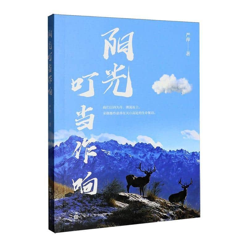 阳光叮当作响