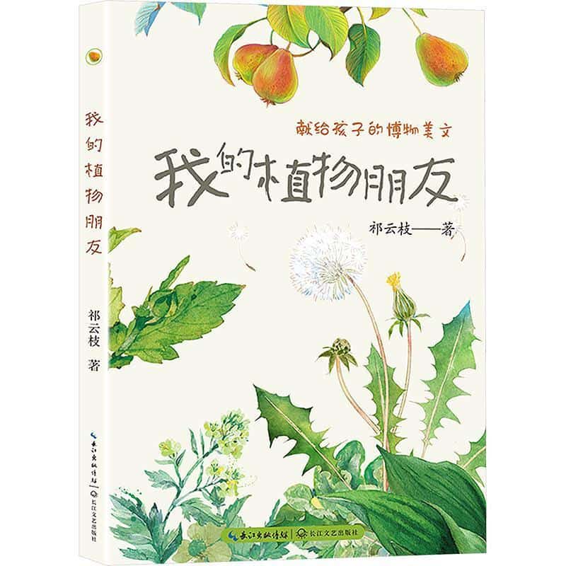我的植物朋友