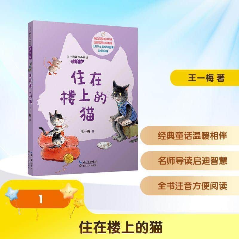 住在楼上的猫