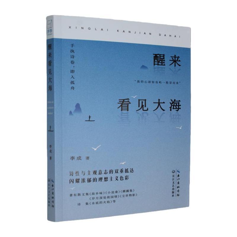 醒来看见大海