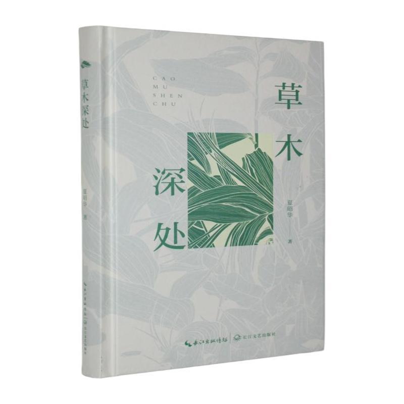 草木深处