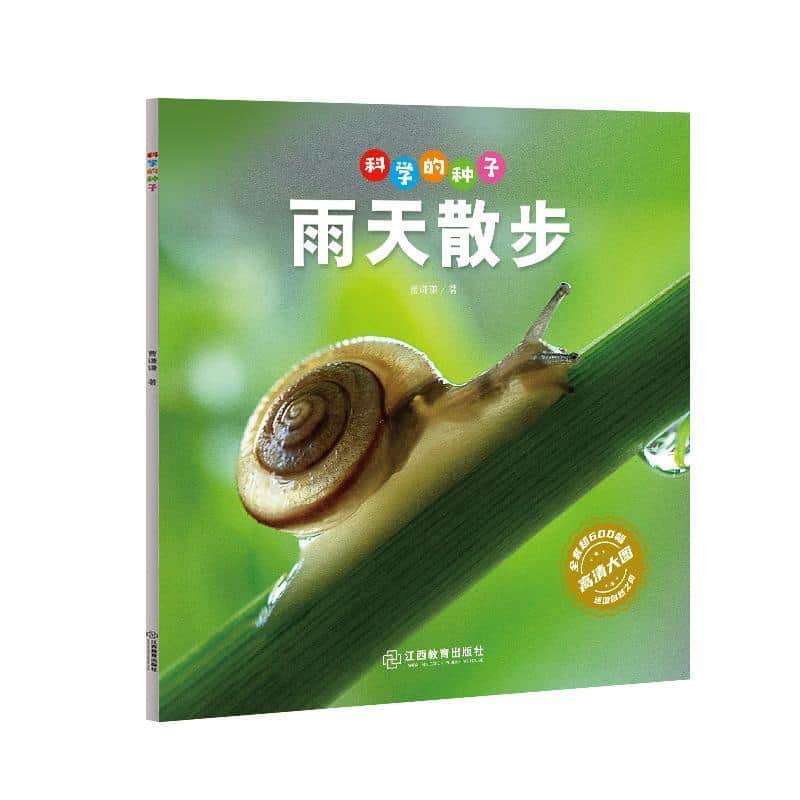 科学的种子:雨天散步