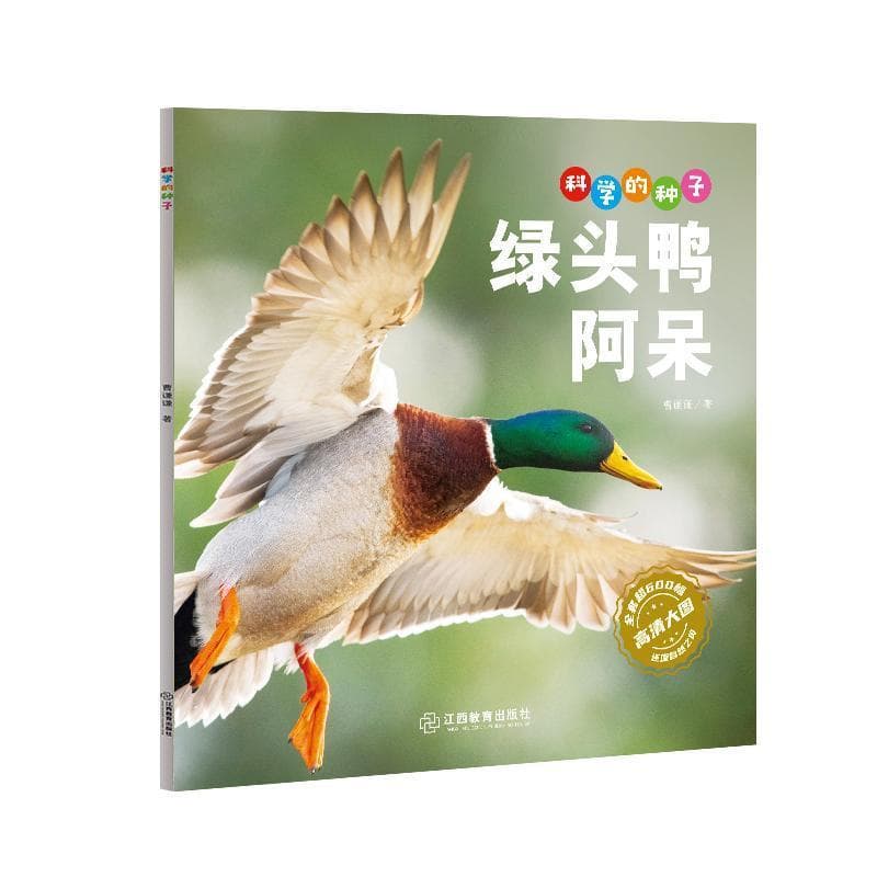科学的种子:绿头鸭阿呆