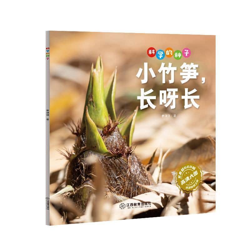 科学的种子:小竹笋，长呀长