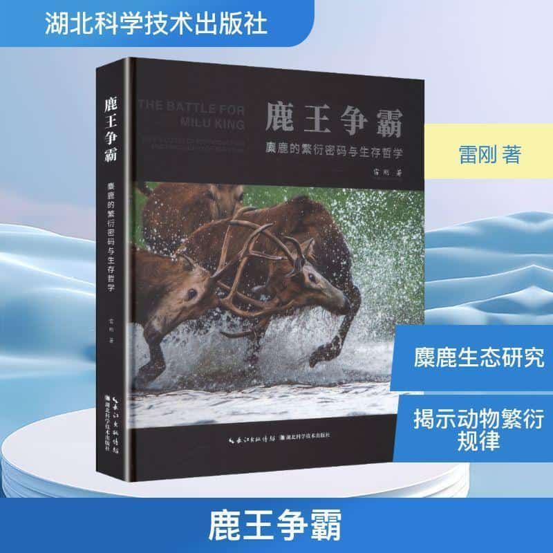 鹿王争霸—麋鹿的繁衍密码与生存哲学—MiLu's codes of reproduction and philosophy of survival