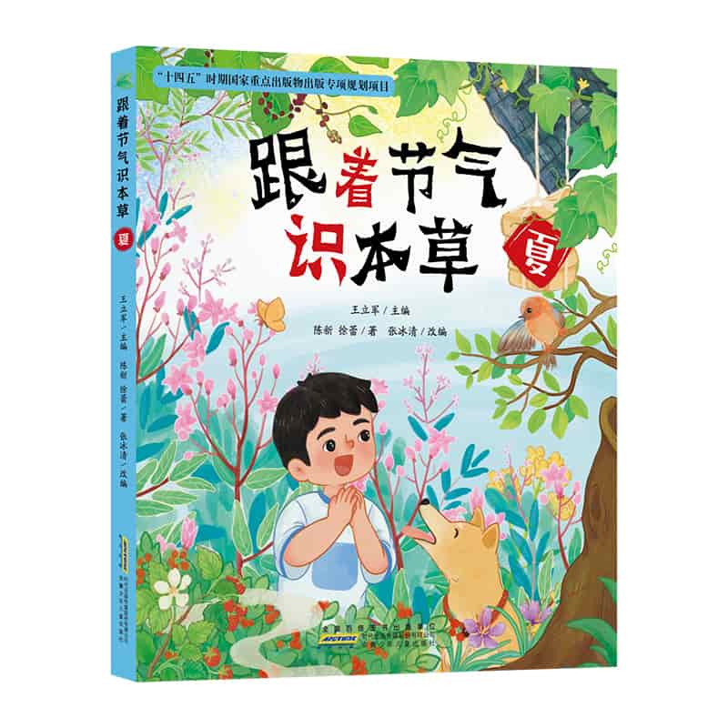 跟着节气识本草:夏