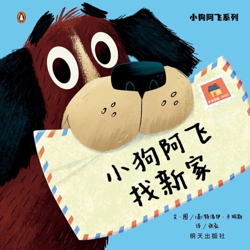 小狗阿飞找新家