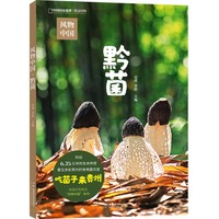 风物中国—黔菌