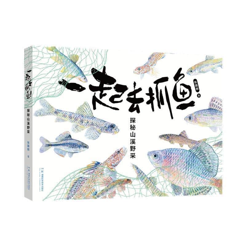 一起去抓鱼—探秘山溪野采