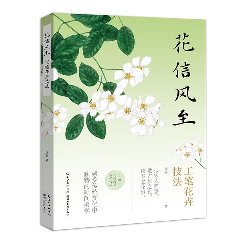 花信风至—工笔花卉技法: