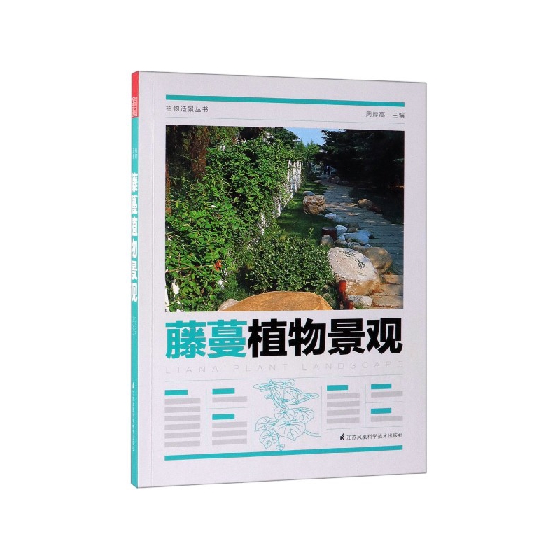 藤蔓植物景观