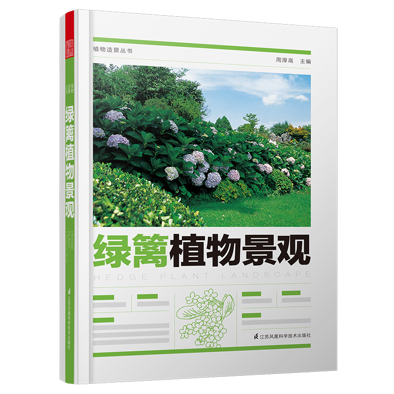 绿篱植物景观