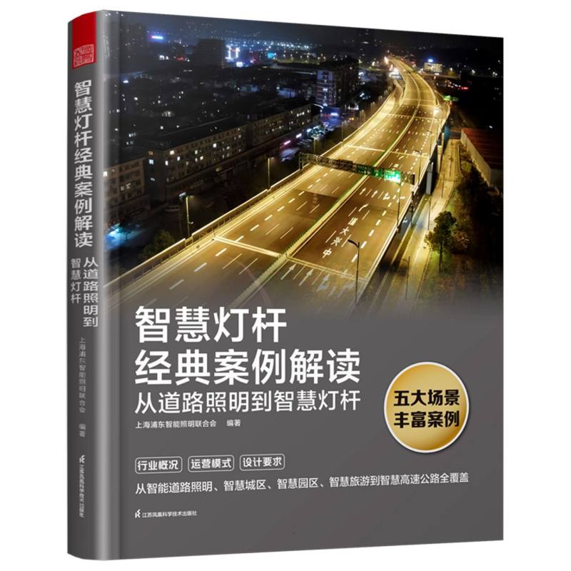 智慧灯杆经典案例解读—从道路照明到智慧灯杆