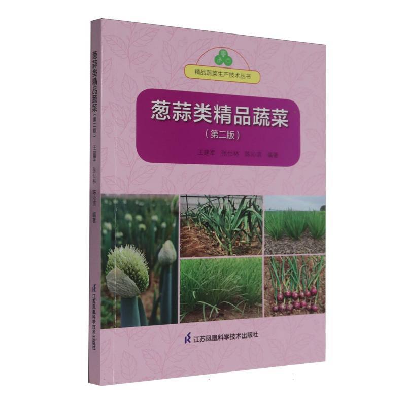 葱蒜类精品蔬菜