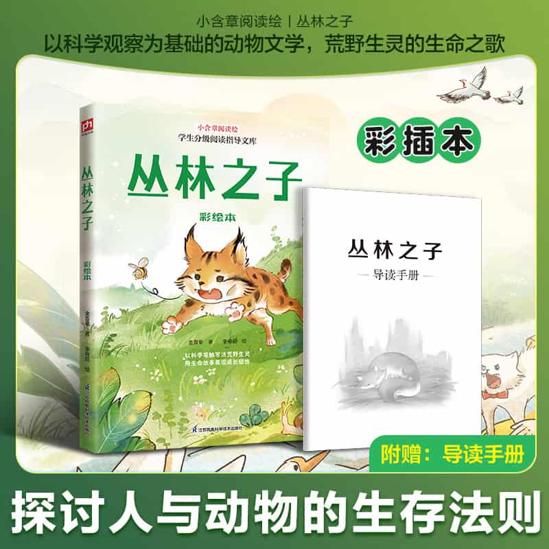 丛林之子