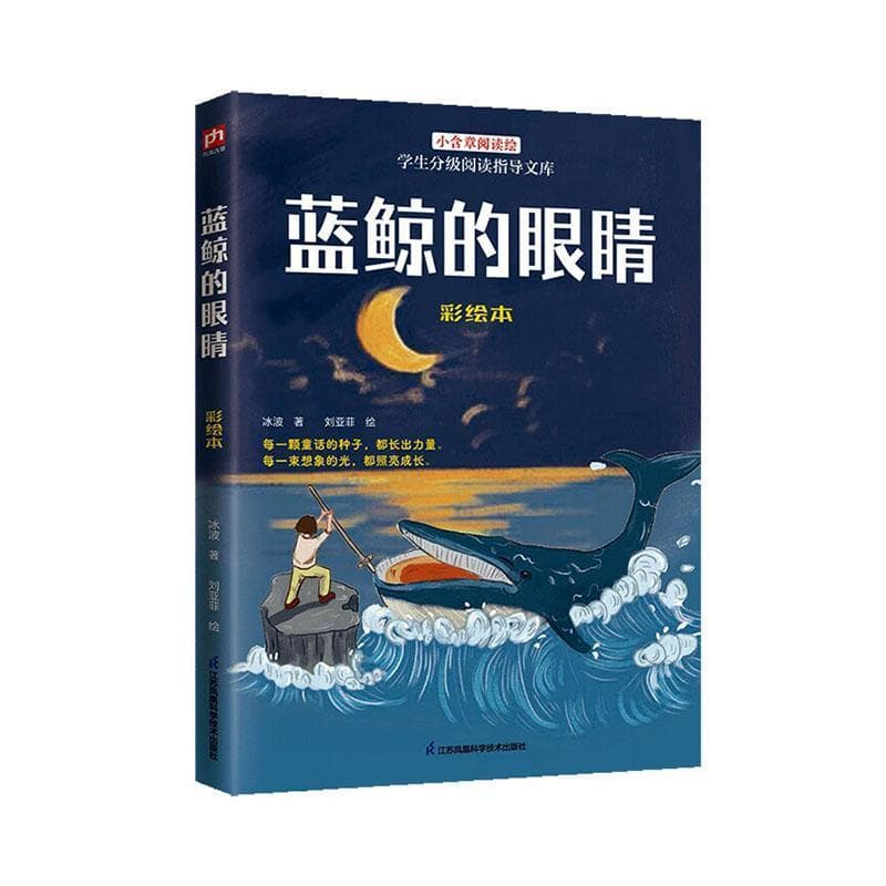 蓝鲸的眼睛