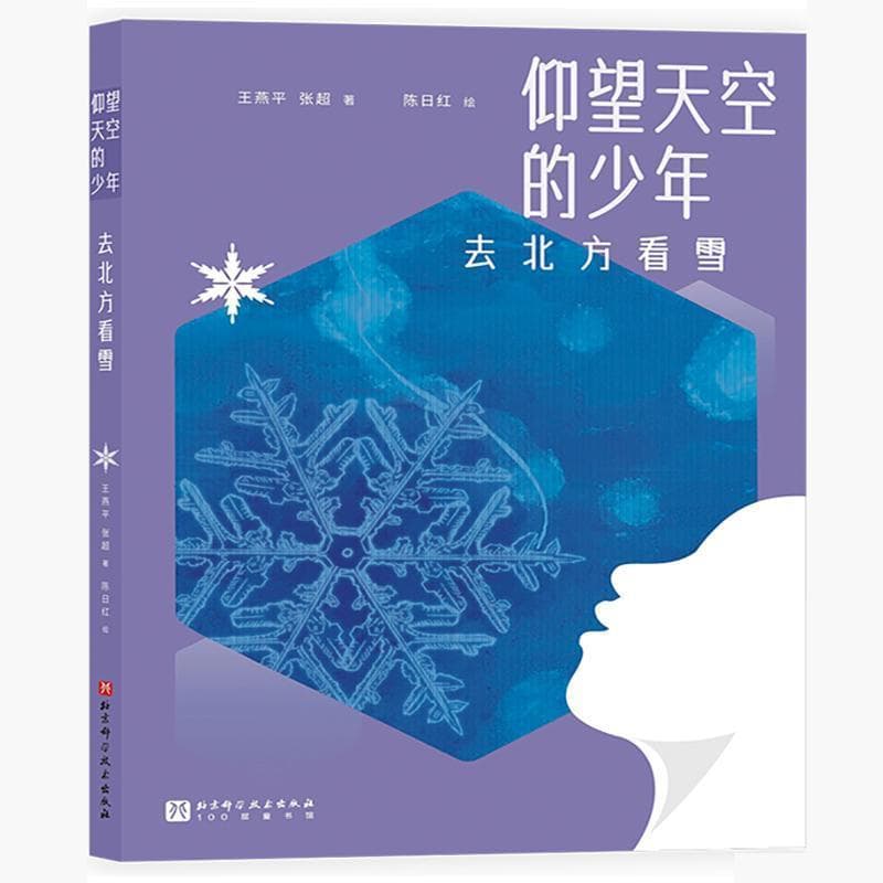 仰望天空的少年:去北方看雪