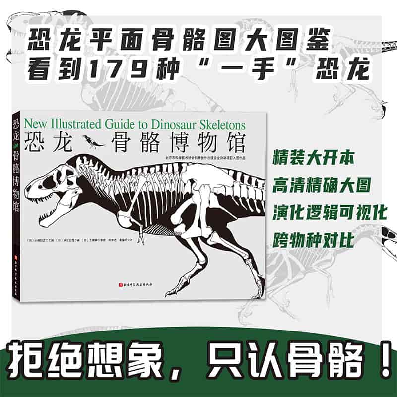 恐龙骨骼博物馆