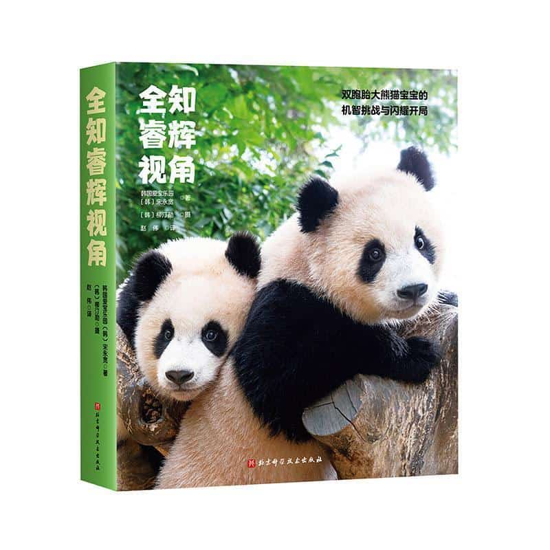全知睿辉视角