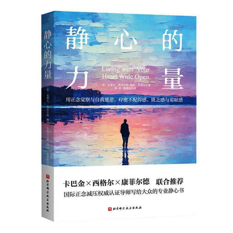 静心的力量—用正念觉察与自我慈悲，疗愈不配得感、匮乏感与羞耻感