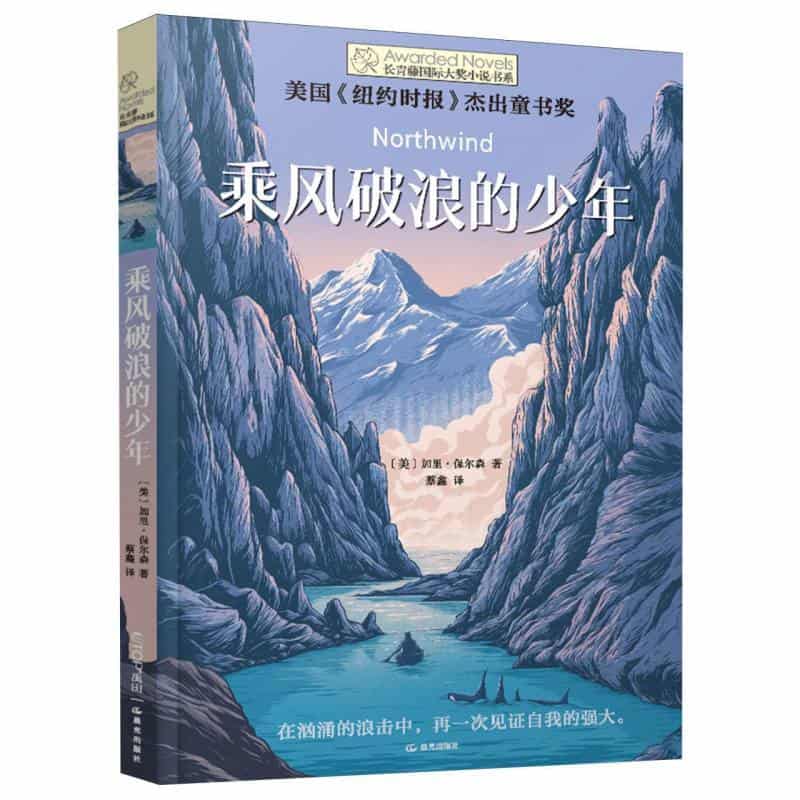 乘风破浪的少年