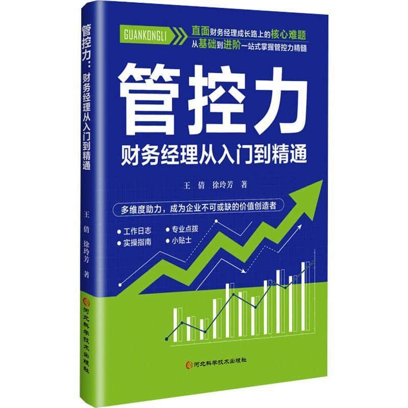 管控力—财务经理从入门到精通:
