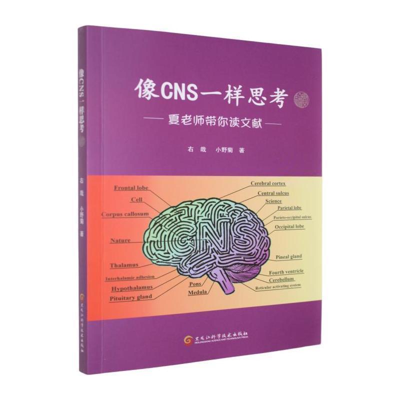 像CNS一样思考