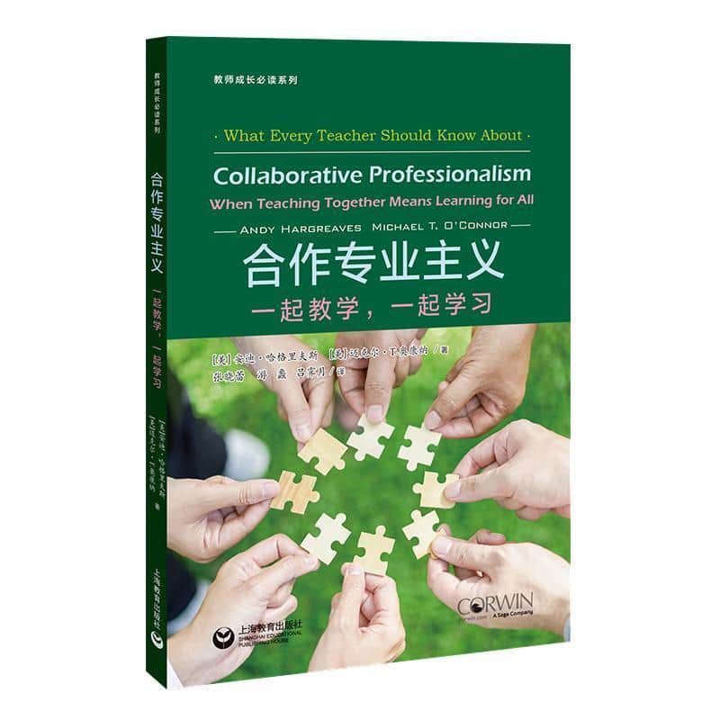 合作专业主义—一起教学，一起学习—when teaching together means learning for all