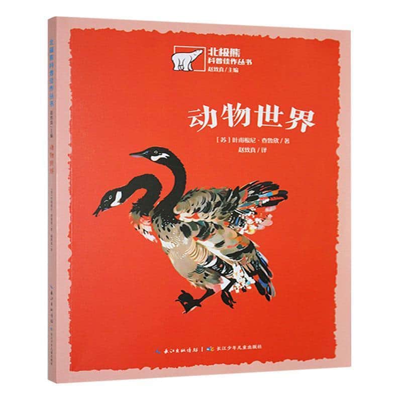 动物世界