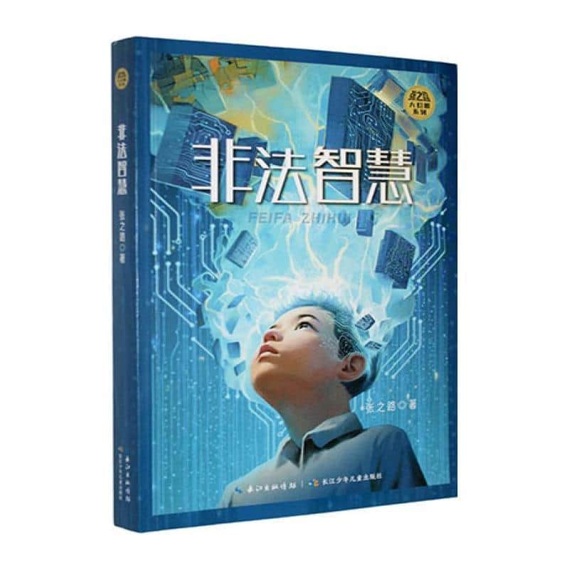 非法智慧