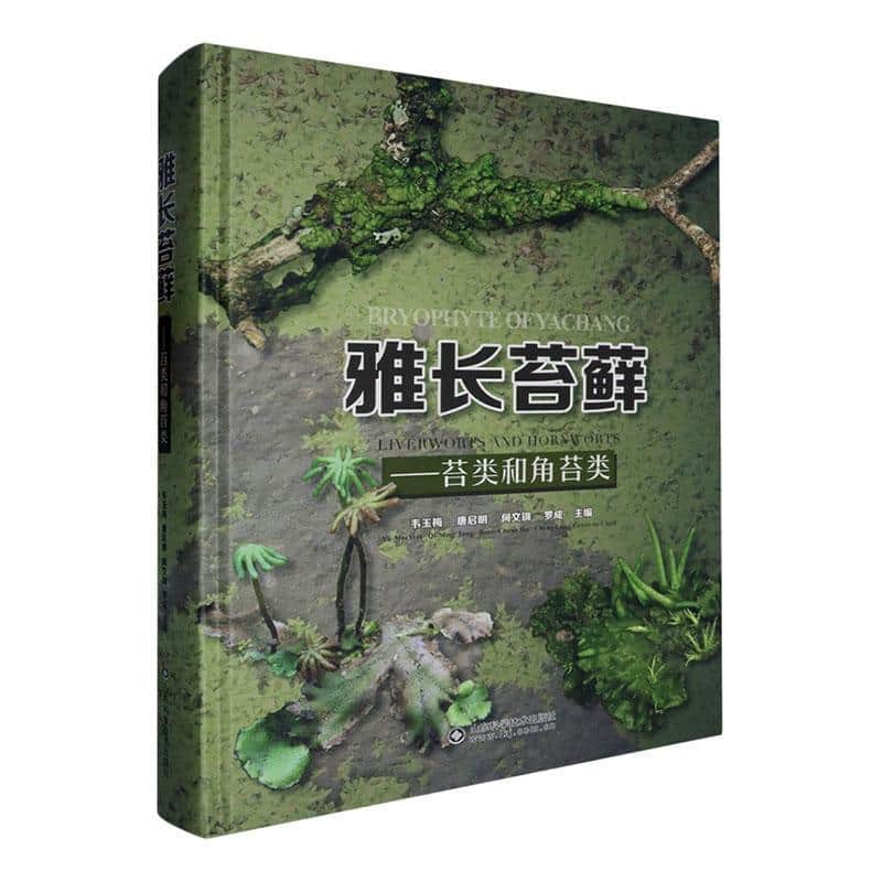雅长苔藓—苔类和角苔类—liverworts and hornworts