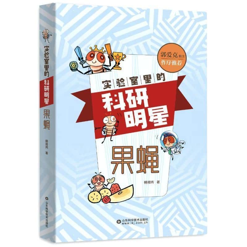 实验室里的科研明星：果蝇